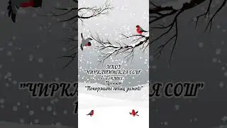 Проект "Покормите птиц зимой"