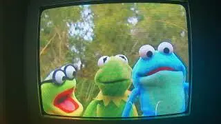 Opening to Bear in the Big Blue House Heroes of Woodland Valley 2003 VHS (10th Anniversary Special)