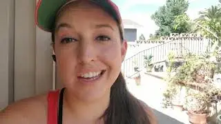 It's ok to tell your dog NO l Rooted Dog Training