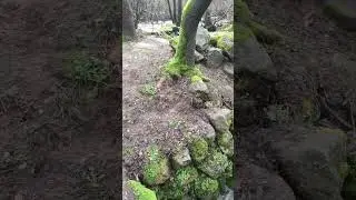 Molinos Ambas aguas Villarino de los Aires.