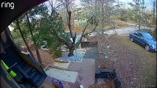 This is how Amazon drivers deliver their packages! Disgraceful! @amazon @amazonprime #amazon