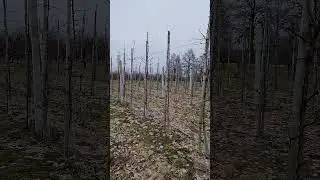 podobno od poniealku ma stanieć, czyli duże zapotrzebowanie na przemysł...