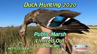 Duck Hunting 2020 Arizona Public Marsh Season Opener (Limited out!)