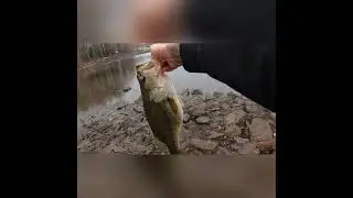 Spring Fishing For Bass in Massachusetts!!