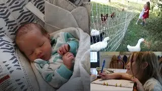 DITL With A Newborn: Homesteading, Homeschooling and Homemaking