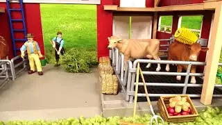 Cows on the farm/ Cattle farm Animals/House/Cows/Bulls/Vacas/Mucche/Horses/pony