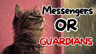 Spiritual Meanings When A Stray Cat Comes To Your House