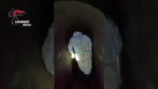 Banda del buco arrestata: nel video il  colpo in un fast food nel cuore di Napoli