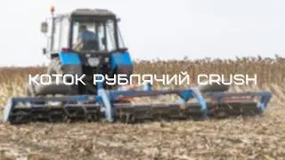 Коток рублячий 