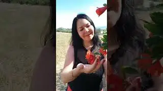 Гранатов много не бывает. 🥰 Каждое дерево надо потрогать и сфотографироваться под ним. 😁