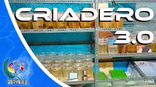 Mi Criadero v.3 0 [ República Bettera ]