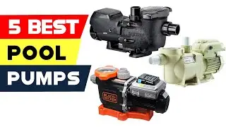 Top 5 Best Pool Pumps Reviews of 2024