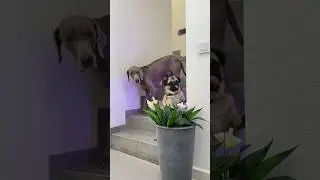 ТАКОЙ КОНЦОВКИ НИКТО НЕ ОЖИДАЛ!