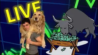 Bulls back in Charge! SPY, TSLA, Rise Up! Part 2