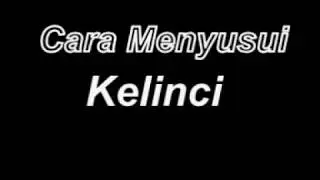cara menyusui anak kelinci_KArena induknya mati