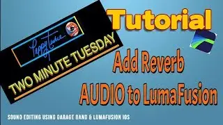Adding Reverb to LumaFusion w/Garageband