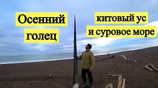 Осенний голец, китовый ус и суровое море