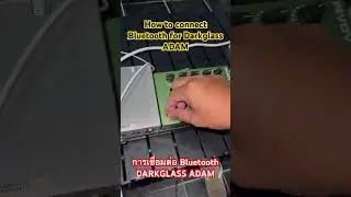 How to connect Bluetooth for Darkglass ADAM #bass #bassguitar #bassplayer #spector #darkglass