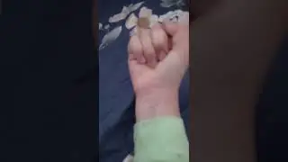 20 июня 2024 г.