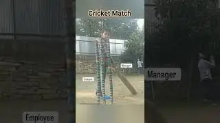 Cricket Match #cricket #employees #manager #corporate #match #viral #trending #funny #shorts