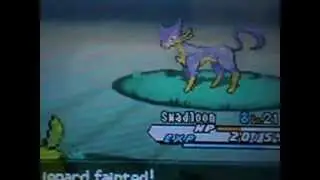 Pokemon White 2 Inf Trainer re-battle at Lostlorn Forest