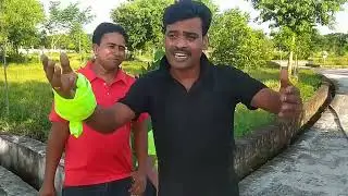 আমার নাম দেয়া কি কাম  একটি জনপ্রিয়