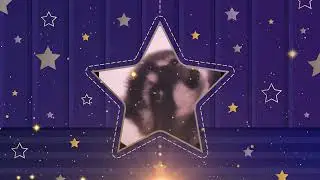 PEDRO PEDRO PEDRO MIX