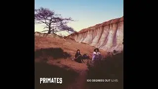Primates - 100 Degrees Out (Official Live Audio)