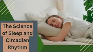 The Science of Sleep and Circadian Rhythm