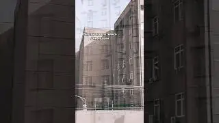ASAMMUELL – Не пара💔♠ #shorts #shortvideo #music