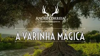 A VARINHA MÁGICA
