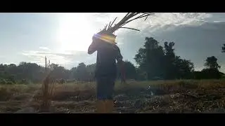 nekad seorang diri di hutan menanam pokok sawit
