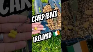 Spring Carp Fishing Ireland 🇮🇪/ 