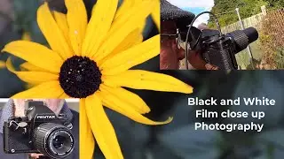 The Pentax LX, using it for close up photography, my setup and all images taken in my back garden