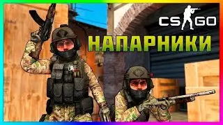 cs global offensive РАЗОРВАЛИ НА КУСКИ