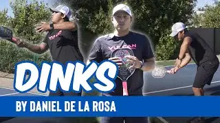 Dinks in Pickleball by Daniel de la Rosa