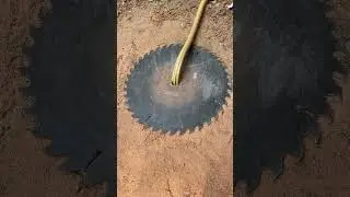 Simplify DIY Snake TrapCutter  #creativesnaketrap #buildsnaketrap#shortsvideo#snaketrap