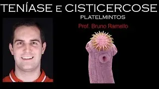 Verminoses - Teníase & Cisticercose