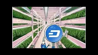 Digital currency dash now usable at 13,000 locations in brazil