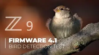 Vrabci na zahradě - Firmware 4.1 - bird detection test