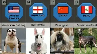 20 Most Ugliest Dog Breeds in the World..