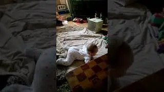 Ella Crawls