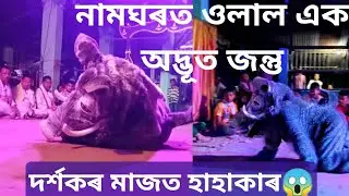 বৰাহৰ প্ৰৱেশ।।নাট-নৃসিংহ মূৰাৰী।।দোহাৰ-মনাই#assamese vauna#nrishinga murari#vauna