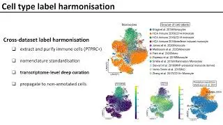 CellTypist: towards automated cell type annotation - Chuan Xu - ssci - Abstract - ISMB 2022