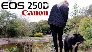 Something different....|| Canon 250D/SL3 first use ||