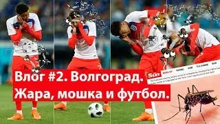 Влог #2. Волгоград. Чемпионат мира по футболу.