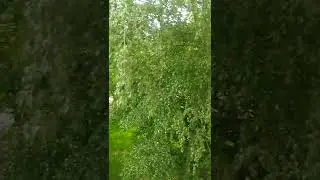 Вот и уезжаю в Москву. 5 часть.