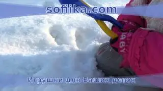 Снежколеп