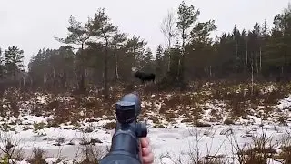 Hunting 