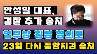 더기버스 안성일 대표, 검찰 추가 송치. #안성일 #전홍준 #어트랙트 #더기버스  #검찰 #기소 [뉴스24TV] [News24TV]